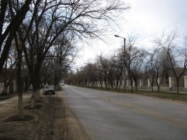 IMG_0127.jpg