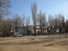 IMG_0141.jpg
