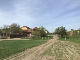 IMG_2242.jpeg