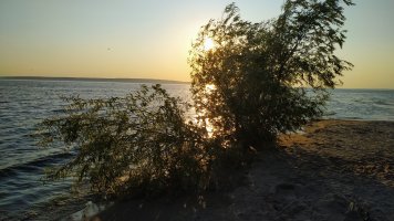 IMG_20250709_200328.jpg