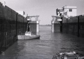 File2699.jpg