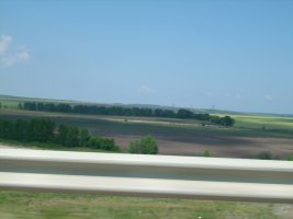 IMG_0038.jpg