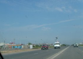 IMG_0536.jpg