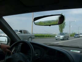 IMG_0544.jpg