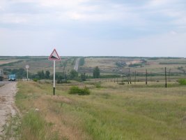 IMG_0560.jpg