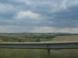 IMG_0568.jpg