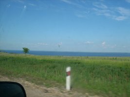 IMG_0600.jpg