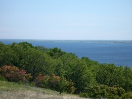 IMG_0822.jpg