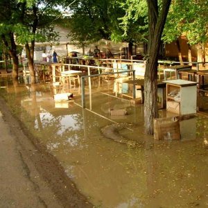 У хитрого рынка после ливня