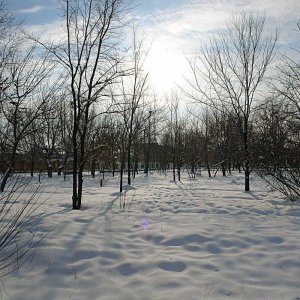 В парке Дома офицеров