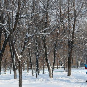 В парке Дома офицеров