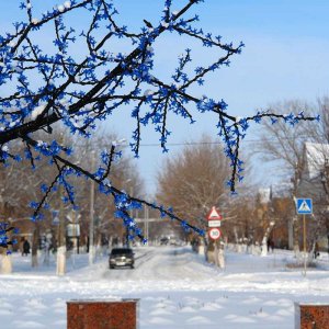 Ул. Сталинградская
