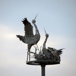 Аисты на крыше водонапорной башни