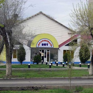 Кафе Оранжевый кот